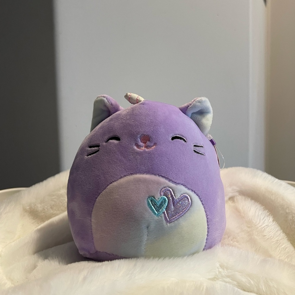 Squishmallow Cienna the Cat Valentines 5”